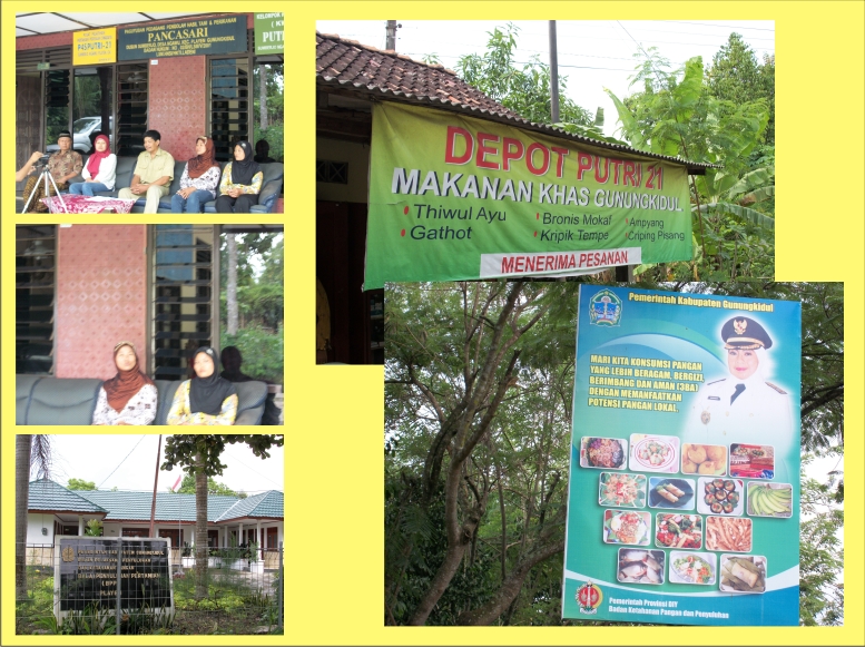 PENYULUHAN INDUSTRI RUMAHTANGGA DI GUNUNG KIDUL YOGYAKARTA