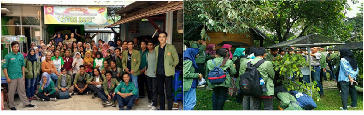 PRAKTIKUM MANAJEMEN PRODUKSI PERTANIAN 2017